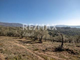 ΑΓΡΟΤΕΜΑΧΙΟ