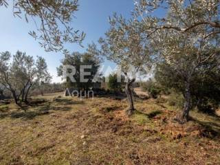 ΑΓΡΟΤΕΜΑΧΙΟ