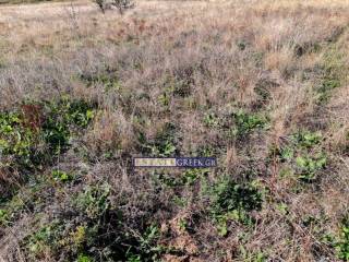 ★ ΙΔΑΝΙΚΟ ΓΙΑ ΦΩΤΟΒΟΛΤΑΙΚΟ ★ ΣΤΑ 50μέτρα ΥΠΑΡΧΕΙ ΣΤΥΛΟΣ