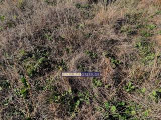 ★ ΙΔΑΝΙΚΟ ΓΙΑ ΦΩΤΟΒΟΛΤΑΙΚΟ ★ ΣΤΑ 50μέτρα ΥΠΑΡΧΕΙ ΣΤΥΛΟΣ