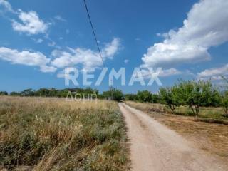 αγροτεμάχιο