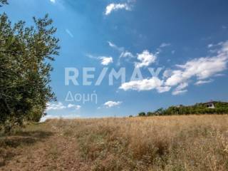 αγροτεμάχιο