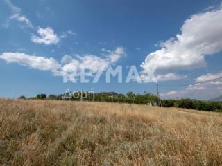 αγροτεμάχιο