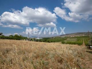 αγροτεμάχιο