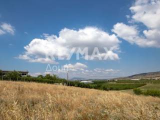 αγροτεμάχιο