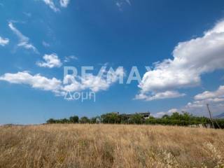 αγροτεμάχιο