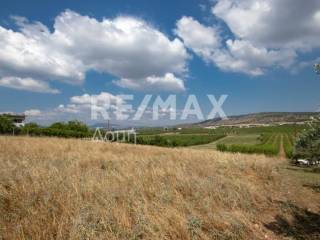 αγροτεμάχιο