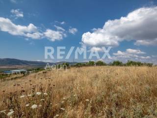 αγροτεμάχιο