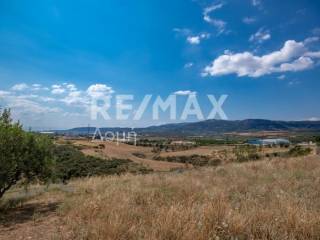 αγροτεμάχιο