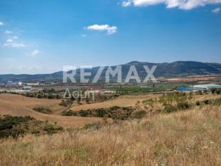 αγροτεμάχιο