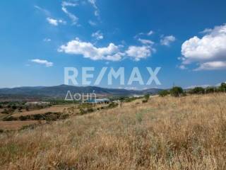 αγροτεμάχιο