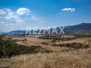 αγροτεμάχιο