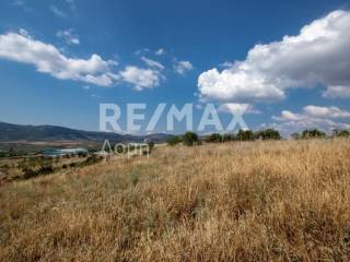 αγροτεμάχιο