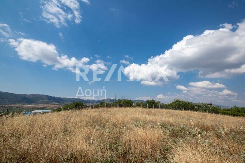 αγροτεμάχιο