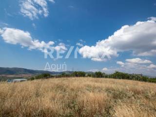 αγροτεμάχιο