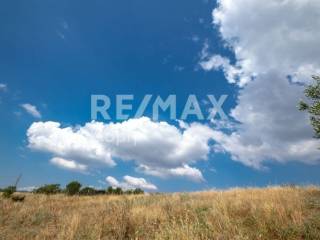 αγροτεμάχιο