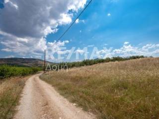 αγροτεμάχιο