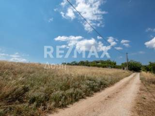 αγροτεμάχιο