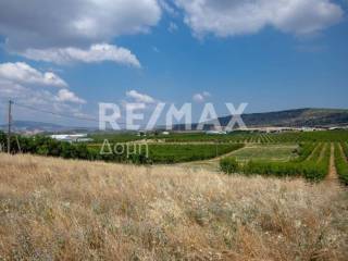 αγροτεμάχιο