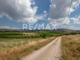 αγροτεμάχιο