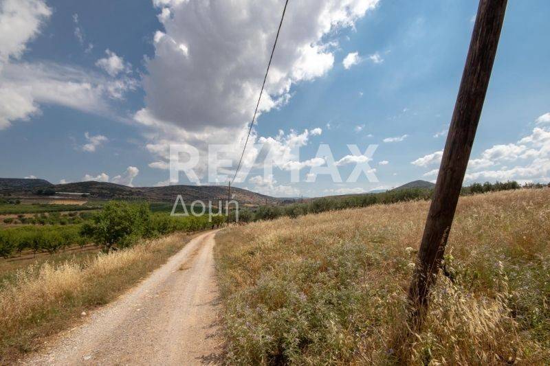 αγροτεμάχιο