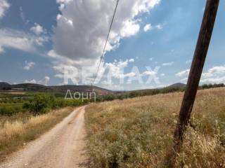αγροτεμάχιο