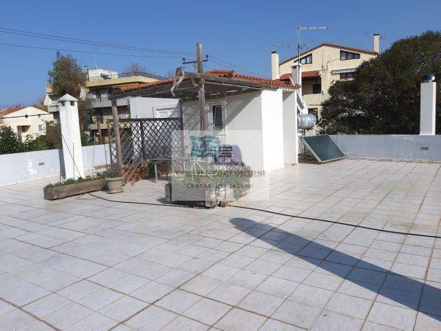 VIEW OF THE ROOF GARDEN