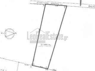 Απόσπασμα Τοπογραφικού Σχεδίου