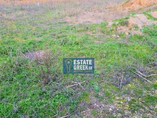  ★ ΚΤΙΖΕΙ για βιοτεχνία 2600τμ ★ Πρόσοψη σε δύο δρόμους ★