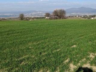 ΑΓΡΟΤΕΜΑΧΙΟ