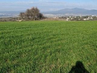 ΑΓΡΟΤΕΜΑΧΙΟ