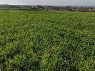 ΑΓΡΟΤΕΜΑΧΙΟ