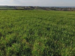 ΑΓΡΟΤΕΜΑΧΙΟ