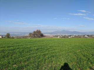 ΑΓΡΟΤΕΜΑΧΙΟ