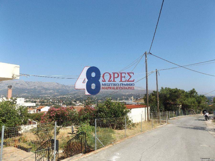 οικόπεδο