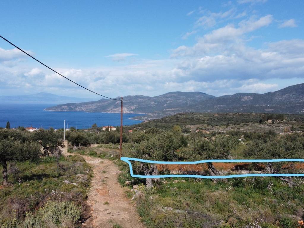 Η αρχή του οικοπέδου από τον δρόμο.