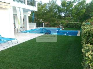 VIEW OF THE SWIMMING POOL - GARDEN