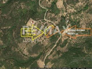 Google τοποθεσία