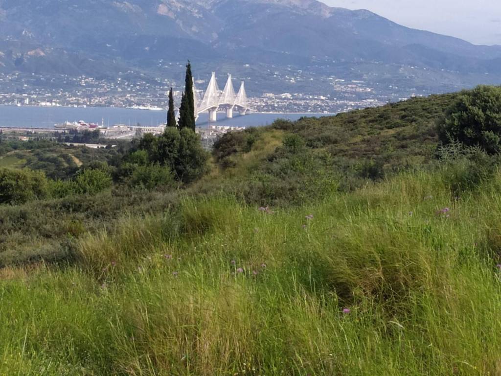 Η ΕΚΤΑΣΗ ΑΠΛΩΝΕΤΑΙ ΣΕ ΟΜΑΛΗ ΠΛΑΓΙΑ ΜΕ ΑΠΕΡΑΝΤΗ ΘΕΑ