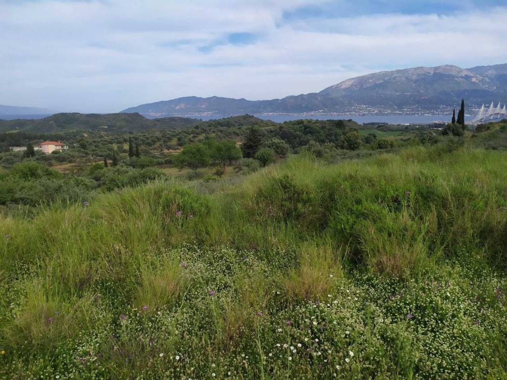 ΙΔΑΝΙΚΗ ΘΕΣΗ ΜΕ ΘΕΑ ΚΑΙ ΥΠΕΡΟΧΟ ΚΛΙΜΑ