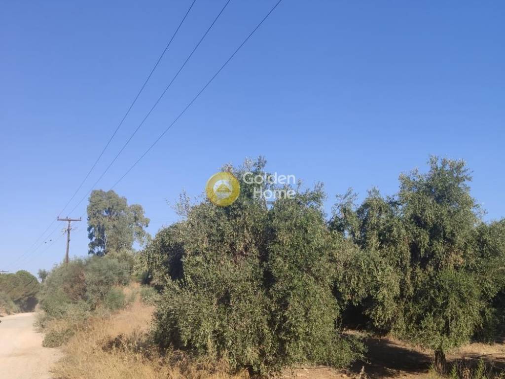 Εξωτερικός Χώρος