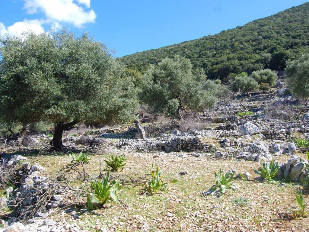 Landscape and terrain