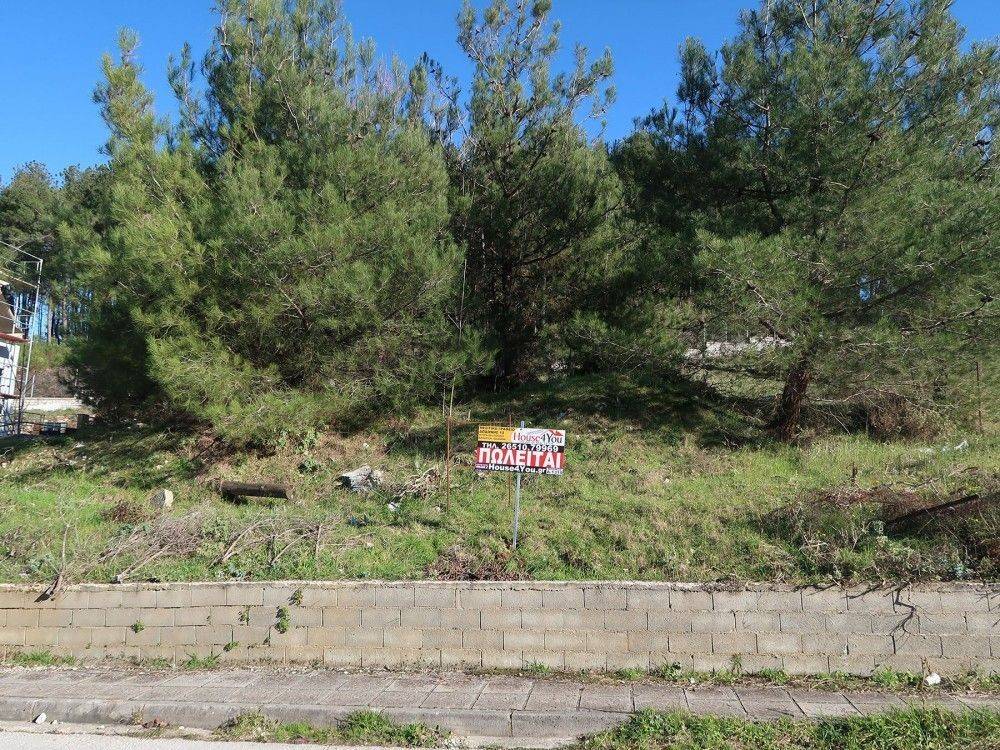 Πωλείται γωνιακό οικόπεδο 313 τ.μ. με θέα στα Καρδαμίτσια Ιωαννίνων επί της Φίλιππα Γιώτη