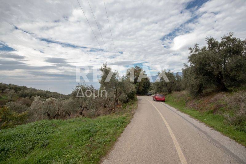 προσβαση