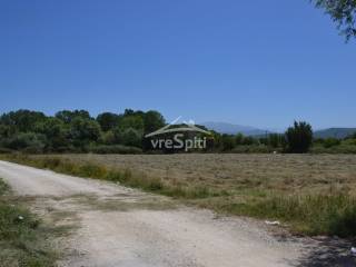 ΑΠΟΨΗ ΤΟΥ ΑΓΡΟΤΕΜΑΧΙΟΥ