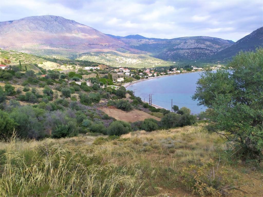 Η ΕΚΤΑΣΗ ΘΑ ΜΠΟΡΟΥΣΕ ΝΑ ΑΞΙΟΠΟΙΗΘΕΙ ΚΑΙ ΤΟΥΡΙΣΤΙΚΑ