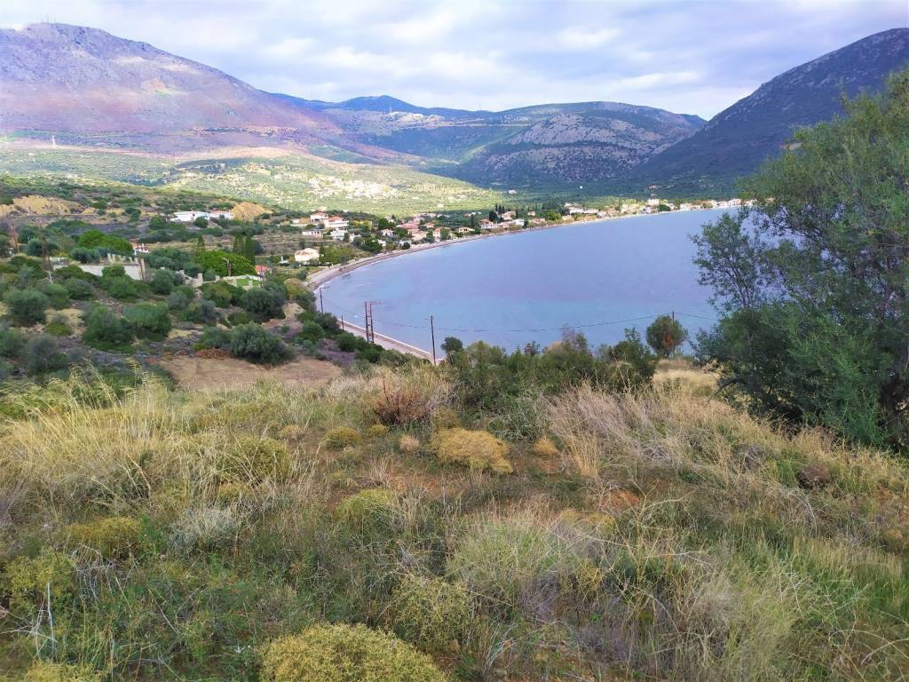 Ο ΟΡΜΟΣ ΛΕΜΟΝΙΑΣ (ΠΑΝΟΡΜΟΥ) ΒΡΙΣΚΕΤΑΙ 1 ΧΛΜ ΑΠΟ ΤΗΝ ΕΡΑΤΕΙΝΗ