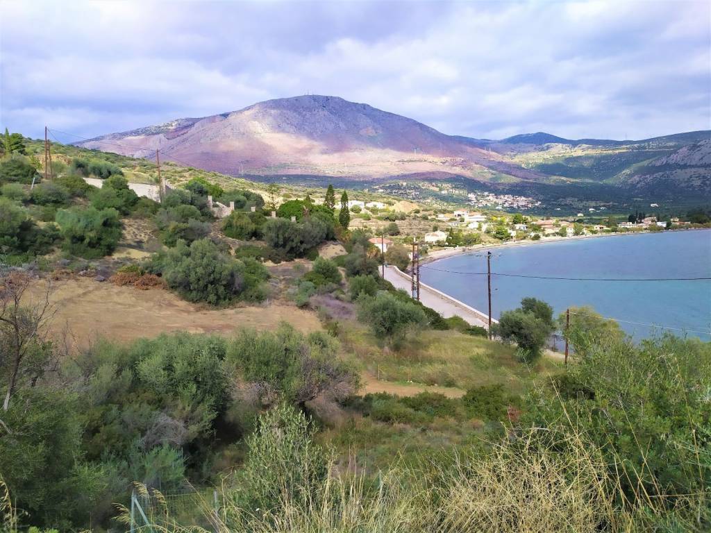 ΣΤΗΝ ΠΕΡΙΟΧΗ ΥΠΑΡΧΟΥΝ ΟΛΕΣ ΟΙ ΠΑΡΟΧΕΣ (ΥΔΡΕΥΣΗ-ΡΕΥΜΑ)