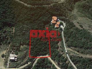 Ελευθερές, Νέα Ηρακλίτσα: Πωλείται αμφιθεατρικό Αγροτεμάχιο 2440τ.μ. με πρόσοψη 35μ. δίπλα στην