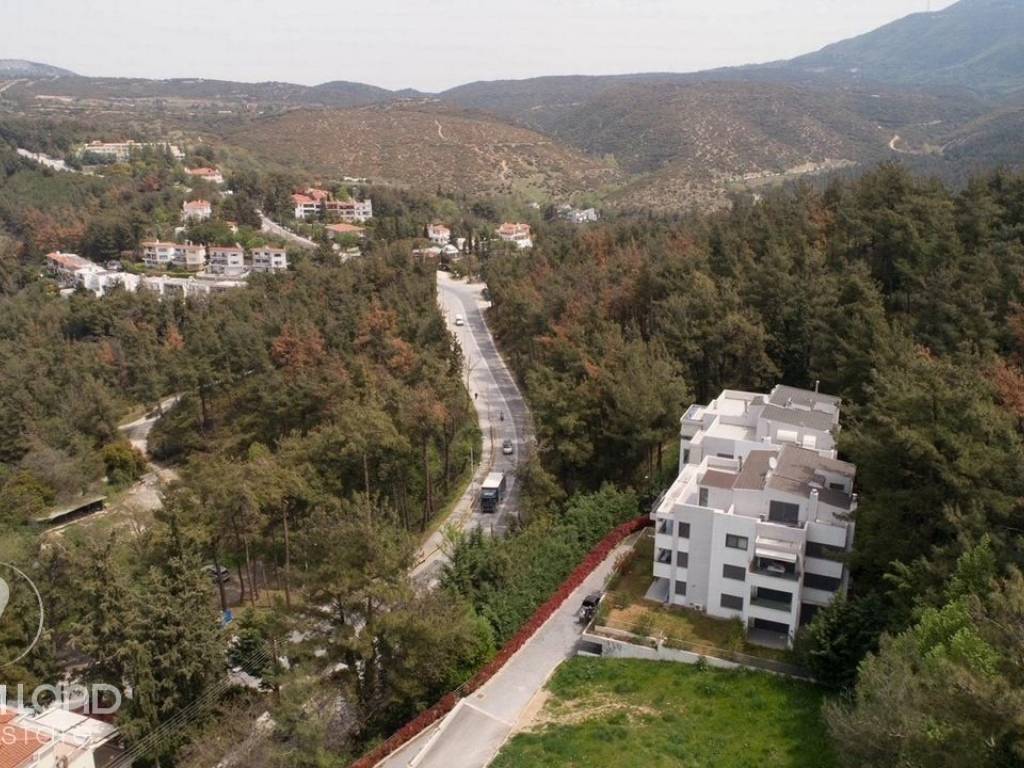 Forumland Real Estate, Οικόπεδο